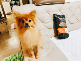 이대현님이 올린 리뷰 사진 4
