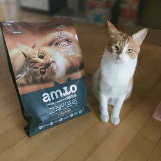 ENJO님이 올린 리뷰 사진 3