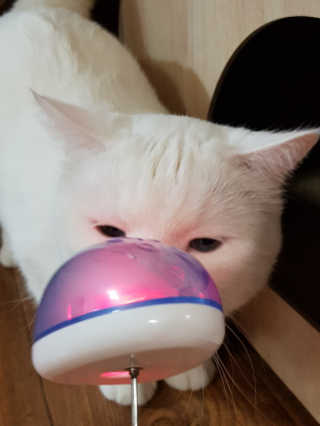 피카츄님이 올린 리뷰 사진 1