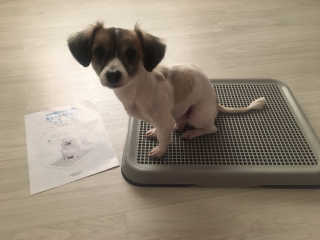 김미진님이 올린 리뷰 사진 1