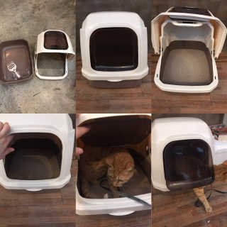 [펫토리아] BEST 한큐뚝딱 고양이 후드형 화장실 — 5점을 준 리뷰어가 2019년 1월 올린 사용 사진