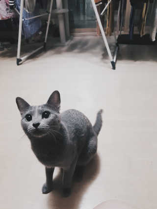 오소담님이 올린 리뷰 사진 2