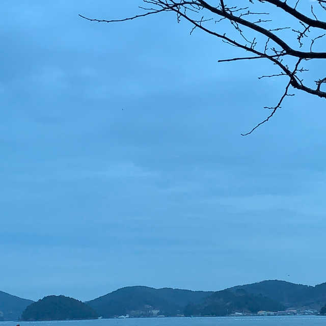엠오이칼유칼립투스&샐비어 무가당캔디 리뷰 사진