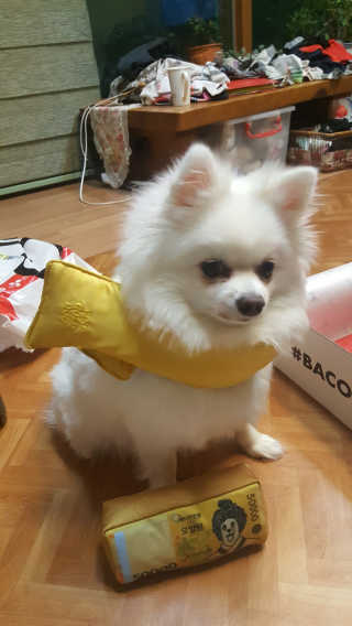 하늬몽님이 올린 리뷰 사진 3