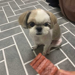 꾸웅다인님이 올린 리뷰 사진 3