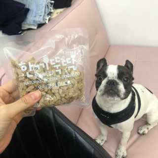 [펫토리아] 맛도 영양도 BEST 한끼뚝딱 강아지 사료 — 5점을 준 리뷰어가 2019년 4월 올린 사용 사진