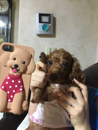 유은님이 올린 리뷰 사진 1