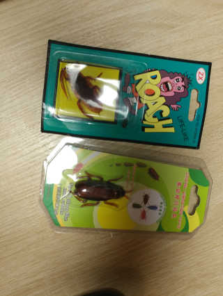 슈퍼그뤠잇쇼핑님이 올린 리뷰 사진 2