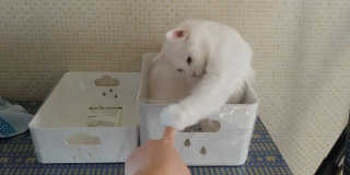 김재이님이 올린 리뷰 사진 3
