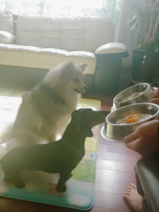 HajinLee님이 올린 리뷰 사진 3