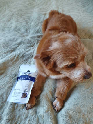 유먀님이 올린 리뷰 사진 1