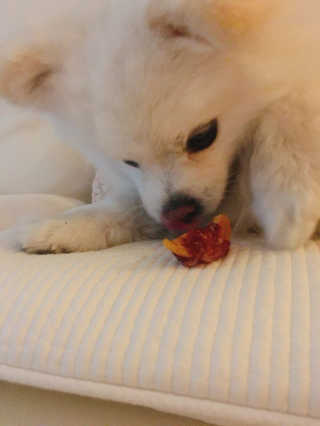 소퍄당님이 올린 리뷰 사진 2
