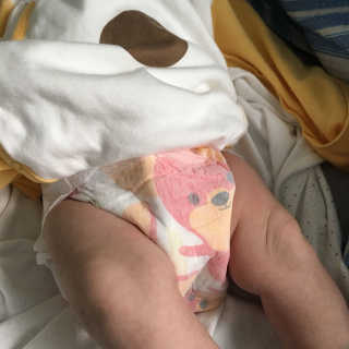 재민맘님이 올린 리뷰 사진 2