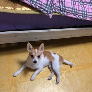 김태선님이 올린 리뷰 사진 3