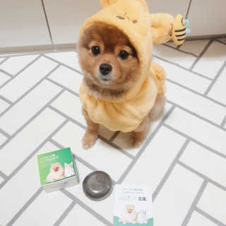은선이짱님이 올린 리뷰 사진 2