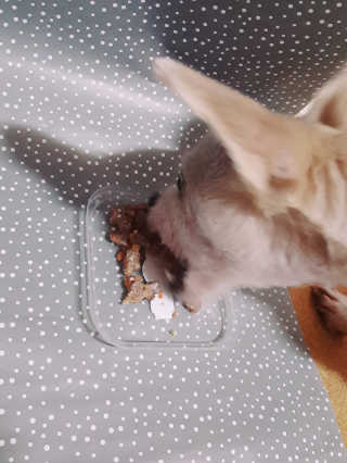 moomoon님이 올린 리뷰 사진 1