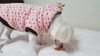 핑크스완님이 올린 리뷰 사진 2