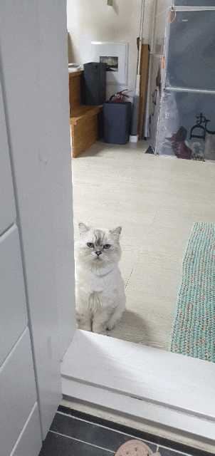 이아라님이 올린 리뷰 사진 1