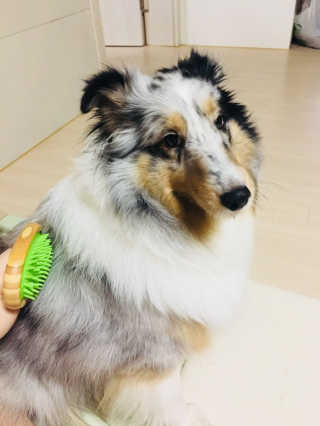 바쿠미님이 올린 리뷰 사진 1