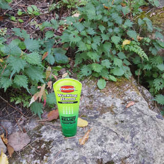 mint1234님이 올린 리뷰 사진 1