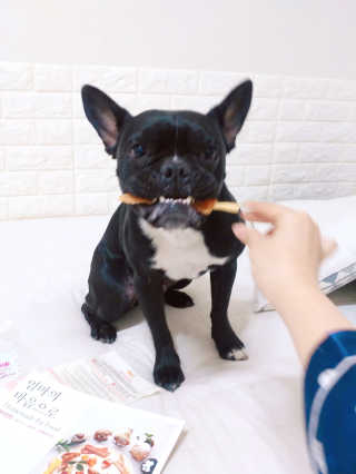 콩비지맘님이 올린 리뷰 사진 2