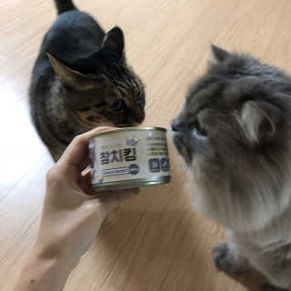 인디님이 올린 리뷰 사진 3