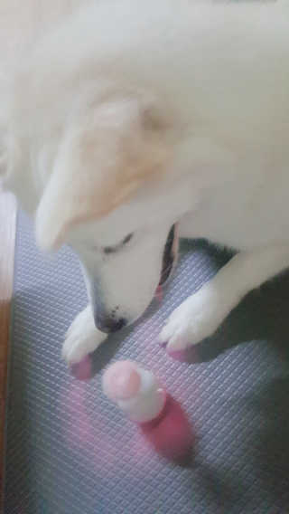 딸랑구둘🥰님이 올린 리뷰 사진 3