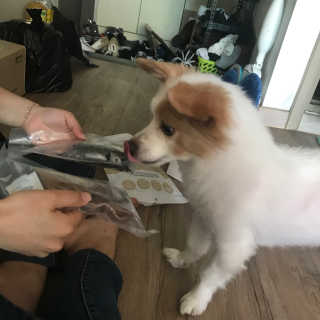 김다움님이 올린 리뷰 사진 3