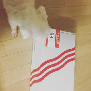 민화님이 올린 리뷰 사진 1