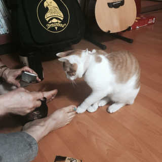 예봄님이 올린 리뷰 사진 2