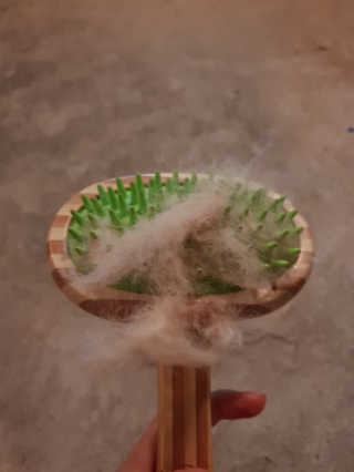 쩡투유님이 올린 리뷰 사진 2
