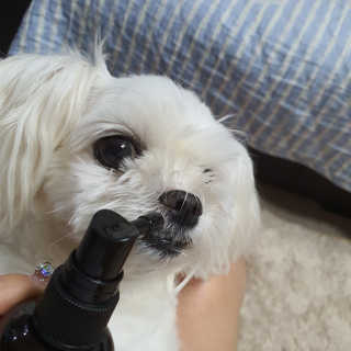 엣헴님이 올린 리뷰 사진 2