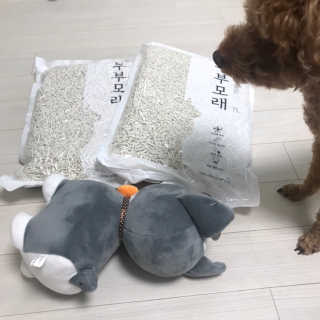 으나으나햐님이 올린 리뷰 사진 1