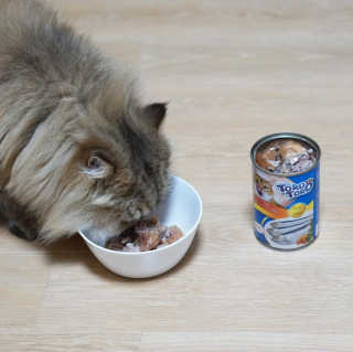 쏘e님이 올린 리뷰 사진 3