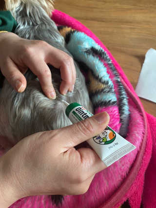 Jy님이 올린 리뷰 사진 2