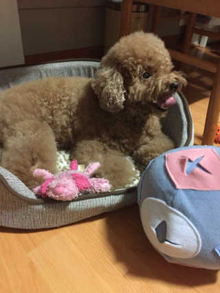 간절히바라던바다님이 올린 리뷰 사진 1