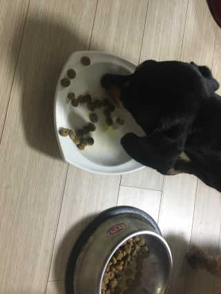 민블리님이 올린 리뷰 사진 1