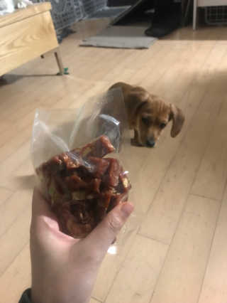 [펫토리아] 뚝딱뚝딱 400g 강아지 간식 베스트5종 — 3.5점을 준 리뷰어가 2019년 1월 올린 사용 사진