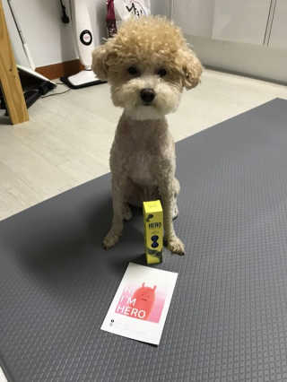 서주나님이 올린 리뷰 사진 1