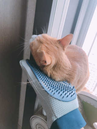 하린님이 올린 리뷰 사진 4