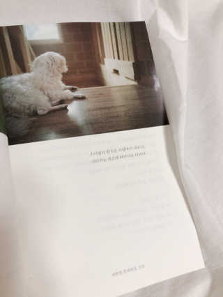 챠니맘님이 올린 리뷰 사진 3
