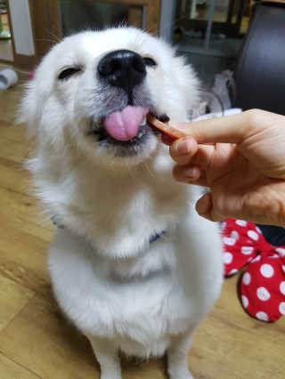 쪼꼬밍💖님이 올린 리뷰 사진 2