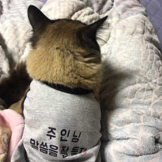 송주미님이 올린 리뷰 사진 2