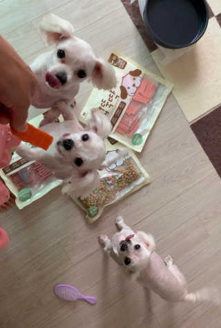 이끌림님이 올린 리뷰 사진 1