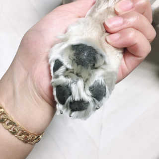 뽀니님이 올린 리뷰 사진 2