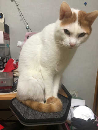 라가온유님이 올린 리뷰 사진 3