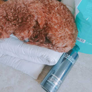 다슈코리아 다슈 데일리 단백질 한방 두피 골드 샴푸 500ml — 5점을 준 리뷰어가 2019년 1월 올린 사용 사진