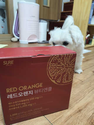 뽀오오옹님이 올린 리뷰 사진 1
