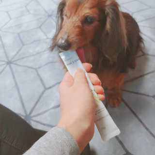 [펫토리아] 한입뚝딱 바이트 + 짜먹는 한입뚝딱 SET — 5점을 준 리뷰어가 2020년 2월 올린 사용 사진