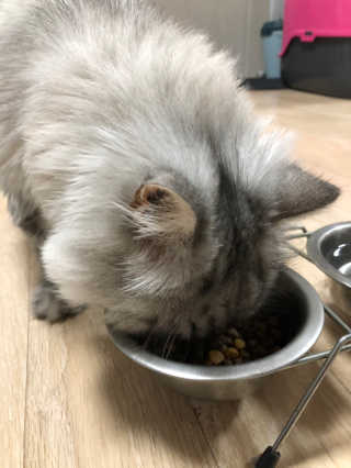 황양님이 올린 리뷰 사진 3